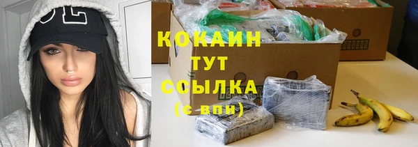 стафф Верхний Тагил
