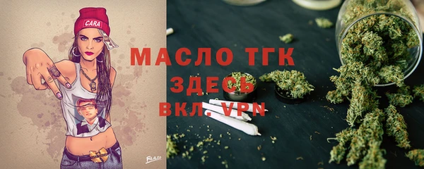 стафф Верхний Тагил